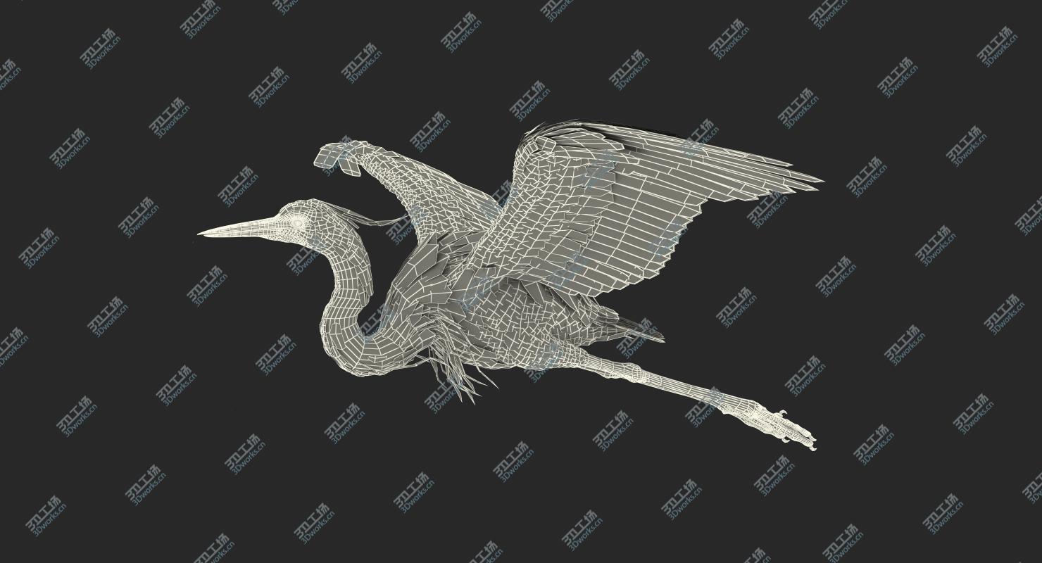 images/goods_img/202104021/3D model Great Blue Heron in Flight/4.jpg